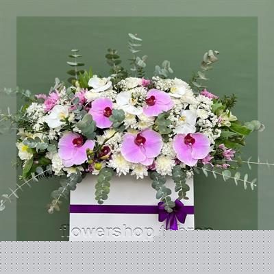چیدمان هنری گیاهان آپارتمانی ماندگار برای دکور میز یا لابی