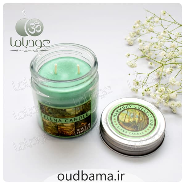 شمع معطر رایحه رین فورست جنگل بارانی ( النا ELENA ) — تصویر ۷