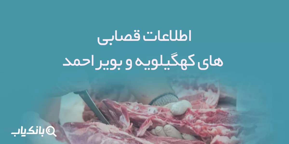 اطلاعات قصابی های کهگیلویه و بویراحمد — تصویر ۲