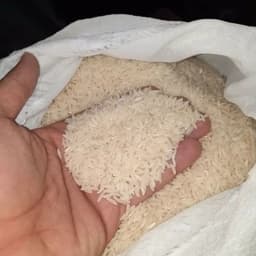 برنج طارم هاشمی امساله عمده(60 کیلوگرم)مستقیم از درب کارخانه شالیکوبی . (ارسال رایگان) — تصویر ۲