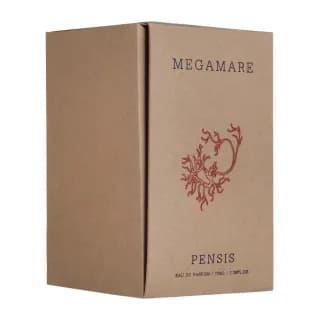 ادوپرفیوم پنسیس مدل MEGAMARE — تصویر ۸