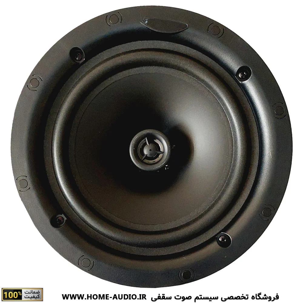مجموعه اسپیکر سقفی نایس ویس TW530 + آمپلی فایر مدل B — تصویر ۱۱