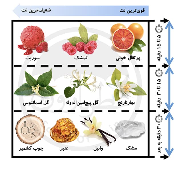 ادوپرفیوم زنانه بورلی هیلز پولو کلاب اسپرت شماره 9 حجم 100 میلیلیتر — تصویر ۵