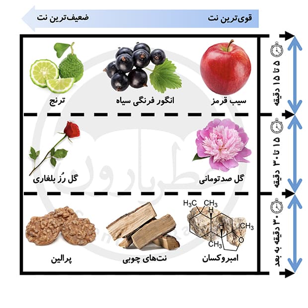 ادوپرفیوم زنانه موبوسین این رد حجم 100میلیلیتر — تصویر ۵