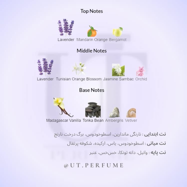 عطر ایو سن لورن لیبر اینتنس زنانه YVES SAINT LAURENT – Libre Intense — تصویر ۵