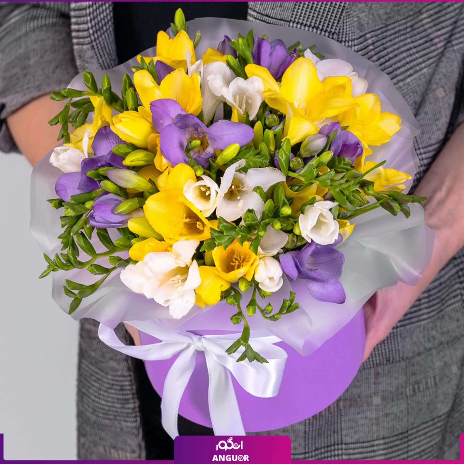 باکس گل فرزیا رنگارنگ 25 شاخه ای