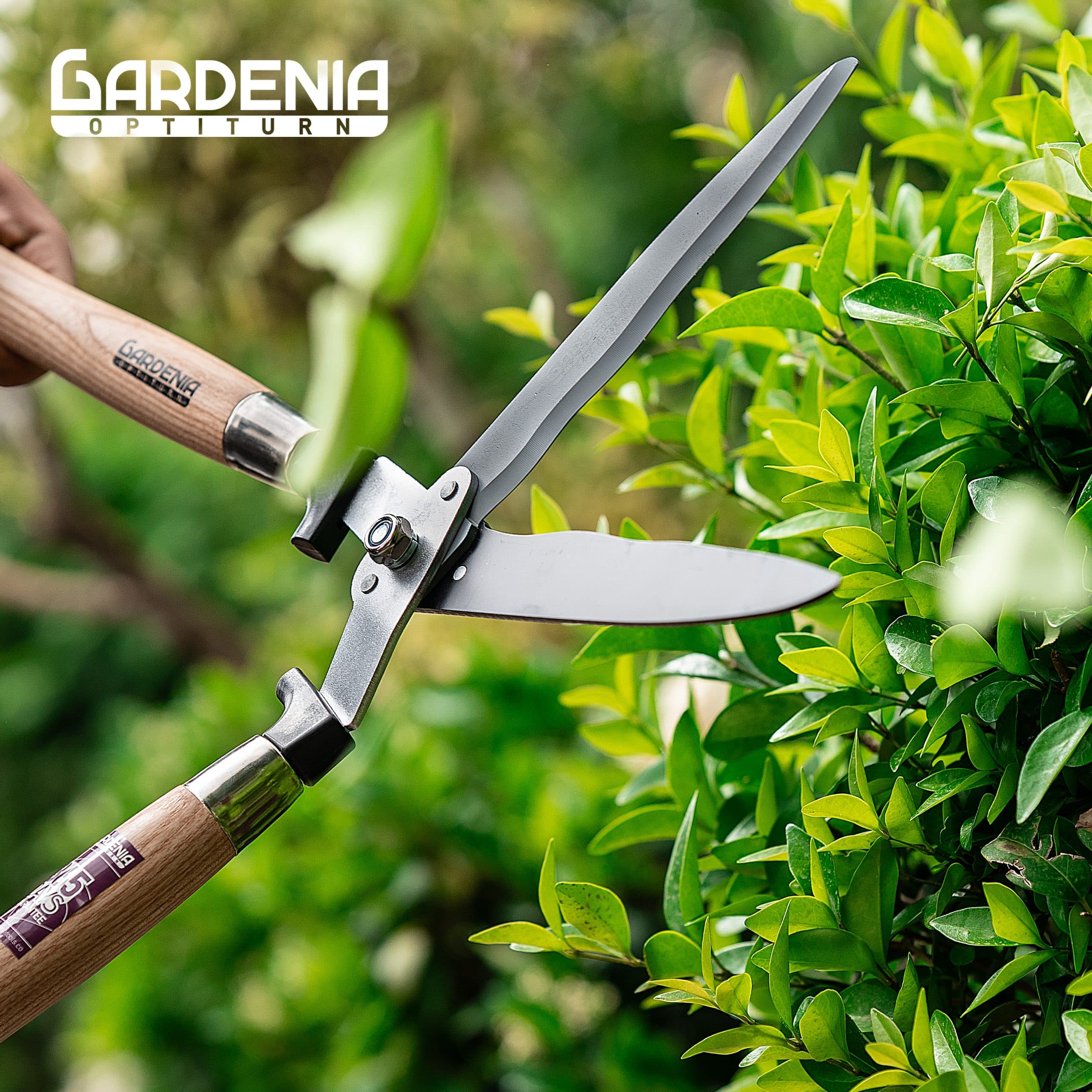 قیچی شمشاد زن دسته چوبی گاردنیا Gardenia مدل GI-5220 — تصویر ۷