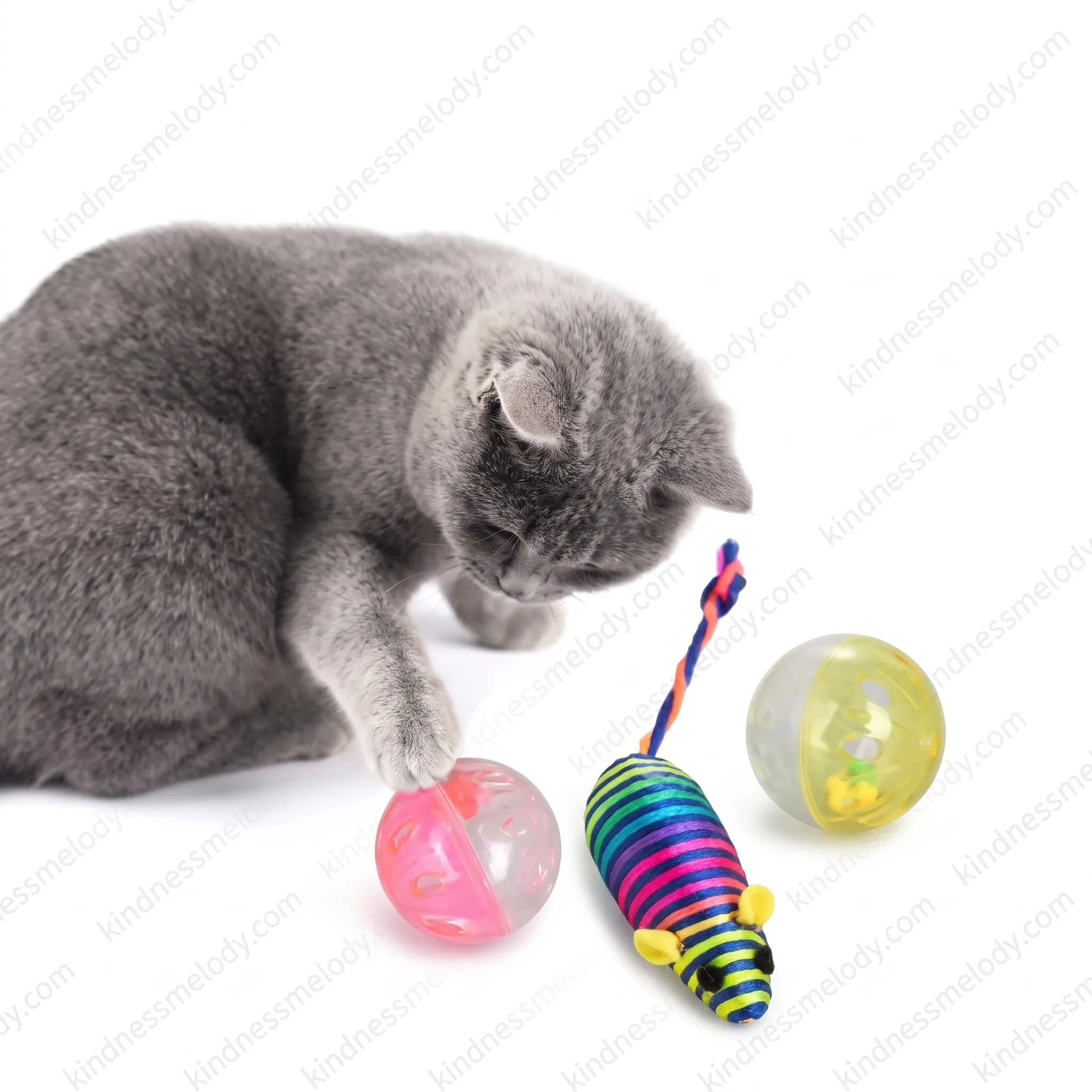اسباب بازی توپ و موش برای گربه Cat Toy Ball and Mouse — تصویر ۲