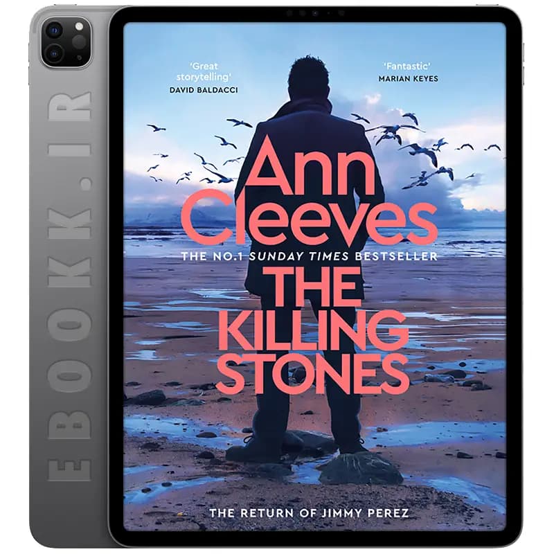 دانلود کتاب The Killing Stones 2025 — تصویر ۲
