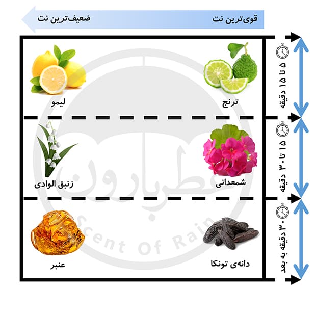 ادوپرفیوم مردانه گرنویل تورنادو 100 میلیلیتر — تصویر ۲