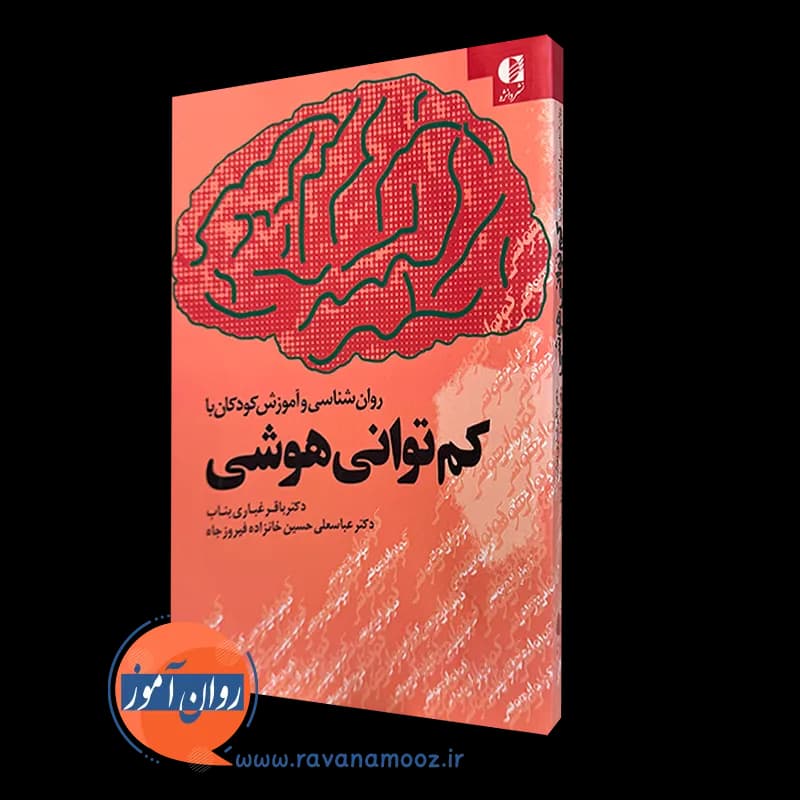 روانشناسی و آموزش کودکان با کم توانی هوشی – باقر غباری بناب — تصویر ۴
