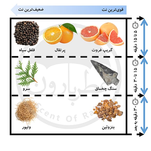 ادوپرفیوم مردانه رپلیکا کلاب تغ هرمس حجم 100 میلیلیتر — تصویر ۷