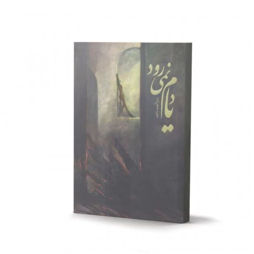 کتاب یادم نمی رود — تصویر ۲