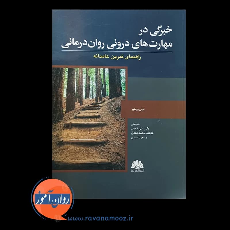 خبرگی در مهارت های درونی روان درمانی – تونی رومنیر — تصویر ۵