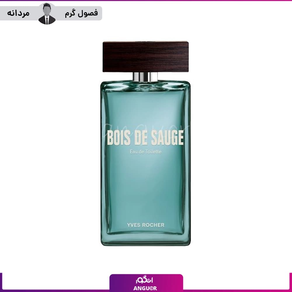 عطر مردانه بویس د سوگ ایوروشه ۱۰۰ میلی لیتر — تصویر ۹
