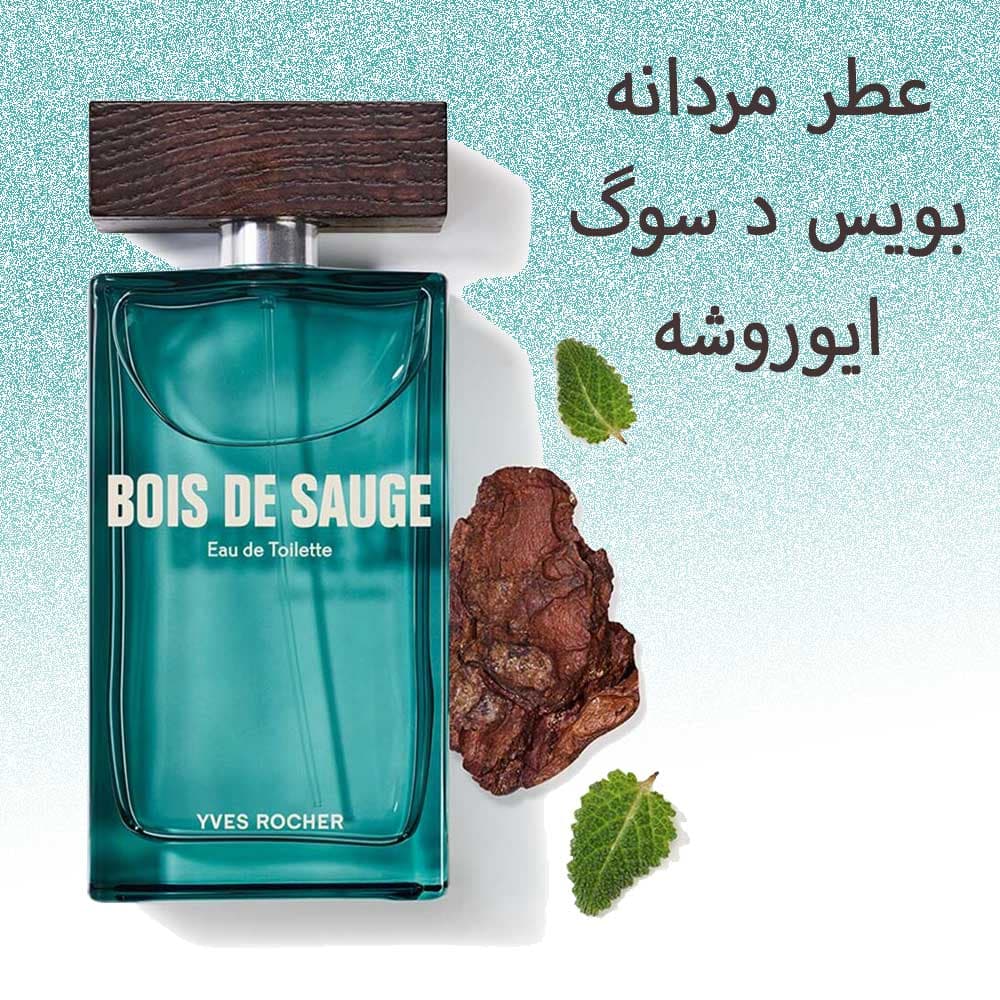 عطر مردانه بویس د سوگ ایوروشه ۱۰۰ میلی لیتر — تصویر ۲