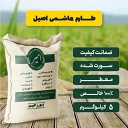 برنج طارم هاشمی اصیل معطر امساله (5 کیلوگرم) — تصویر ۳
