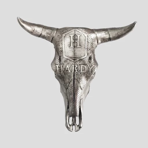 دیوارکوب طرح جمجمه گاومیش (راک) مدل Hardy کد Irz265 رنگ نقرهای — تصویر ۲