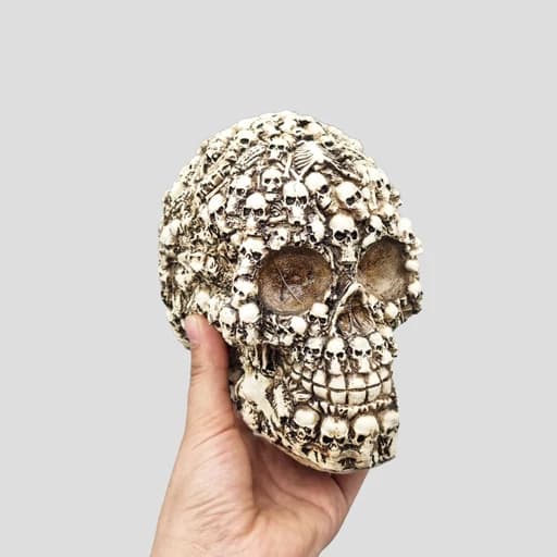 مجسمه جمجمه مدل FullSkulls رنگ استخوانی کد Shah934 — تصویر ۱۱
