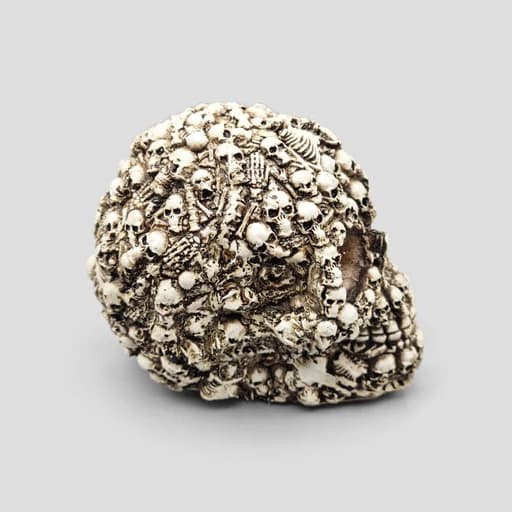 مجسمه جمجمه مدل FullSkulls رنگ استخوانی کد Shah934 — تصویر ۱۰