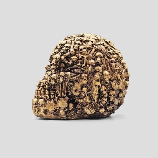 مجسمه جمجمه مدل FullSkulls رنگ برنزی کد Shah934 — تصویر ۳
