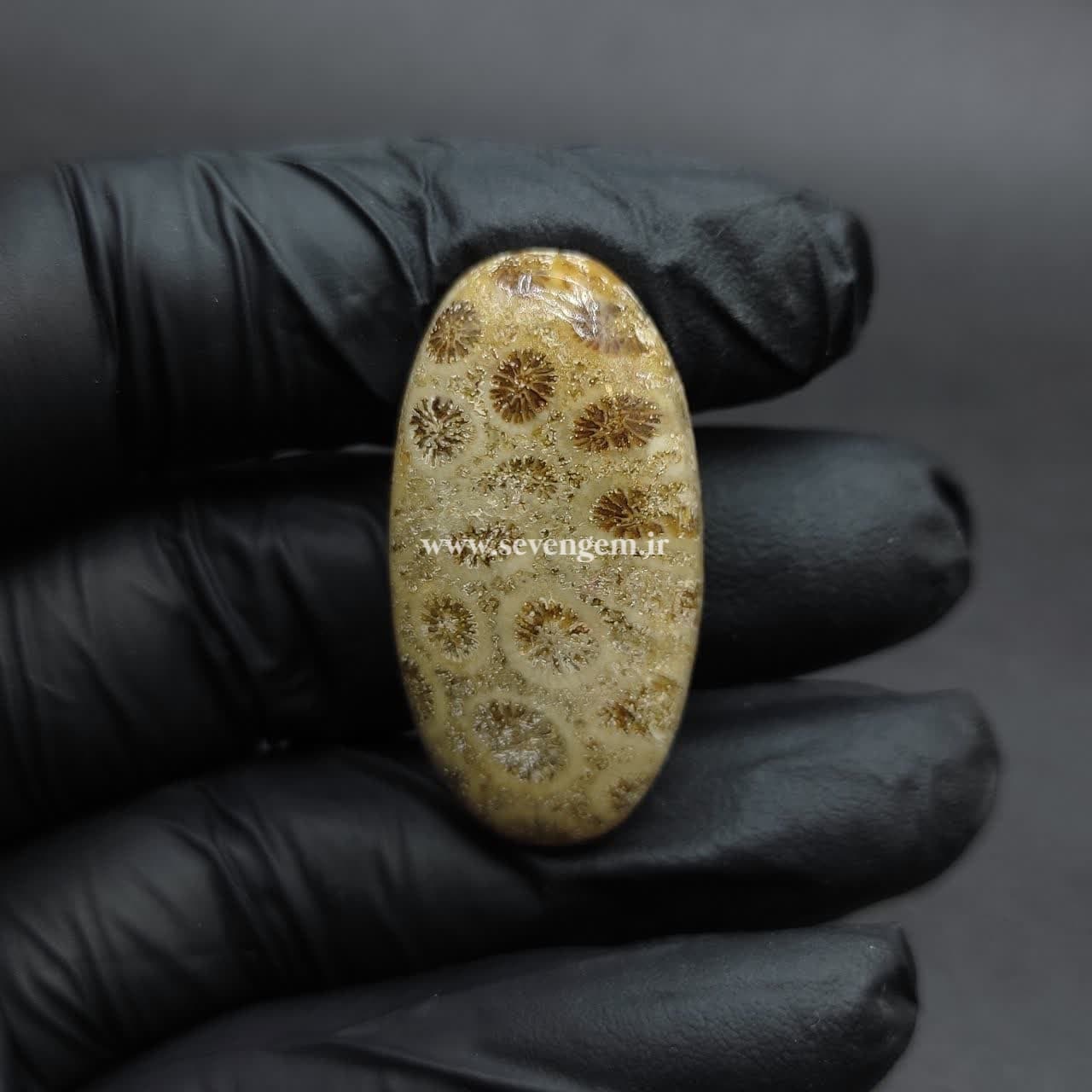 نگین فسیل مرجان (کدB741) — تصویر ۳