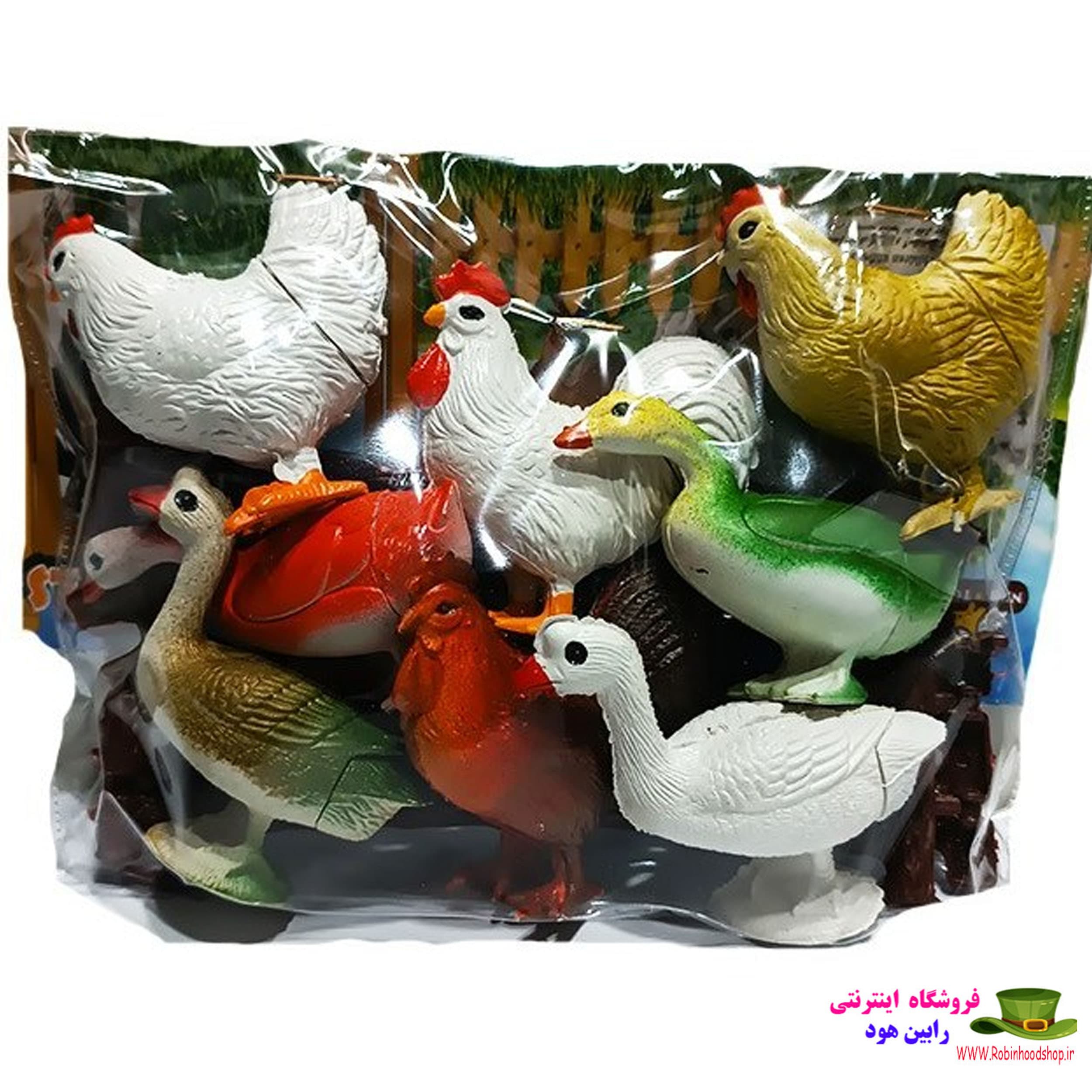 باغ وحش پرندگان امین 44
