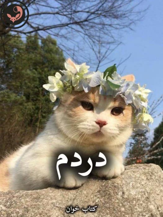 رمان دردم از سرو روحی | دانلود | کتاب خوان — تصویر ۲