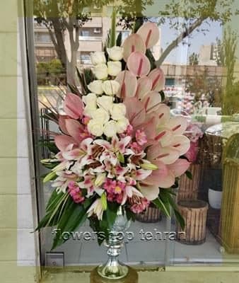عکس گل میخک با ترکیب رنگ جذاب و ماندگار