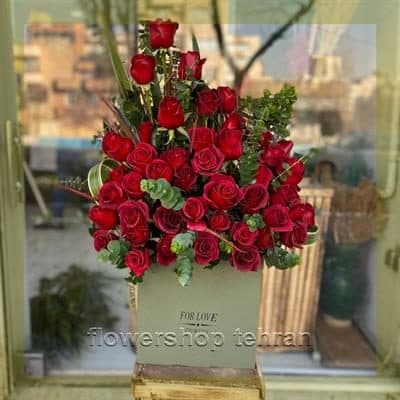 یوکا در بازار گل محلاتی مناسب شرکتها، مطبها و فضاهای اداری