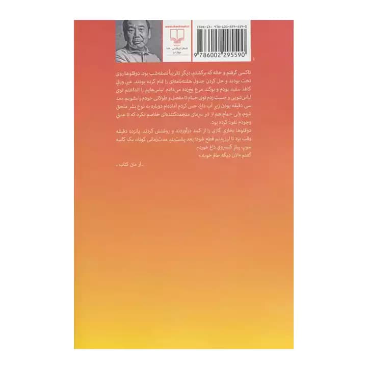 کتاب پین بال، 1973 — تصویر ۵