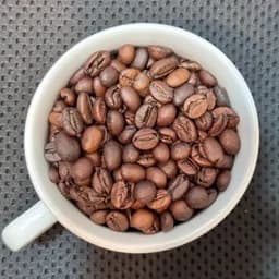 قهوه 100 روبوستا فول کافئین شکلاتی سوپر کرما 18 کیلویی میکس شرکتی (عمده) — تصویر ۲