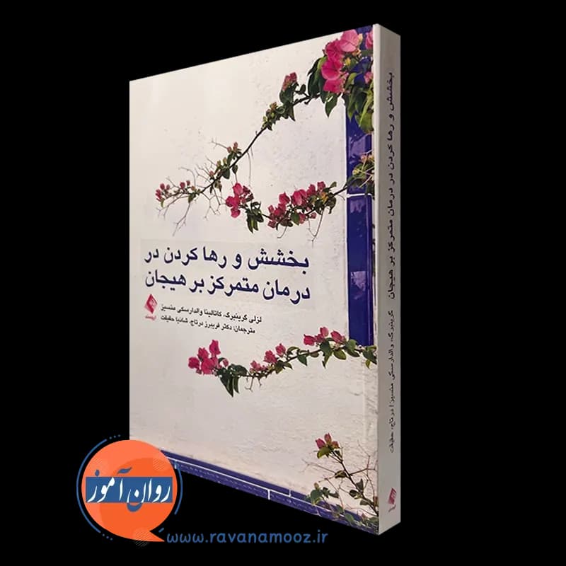 بخشش و رها کردن در درمان متمرکز بر هیجان – گرینبرگ — تصویر ۲