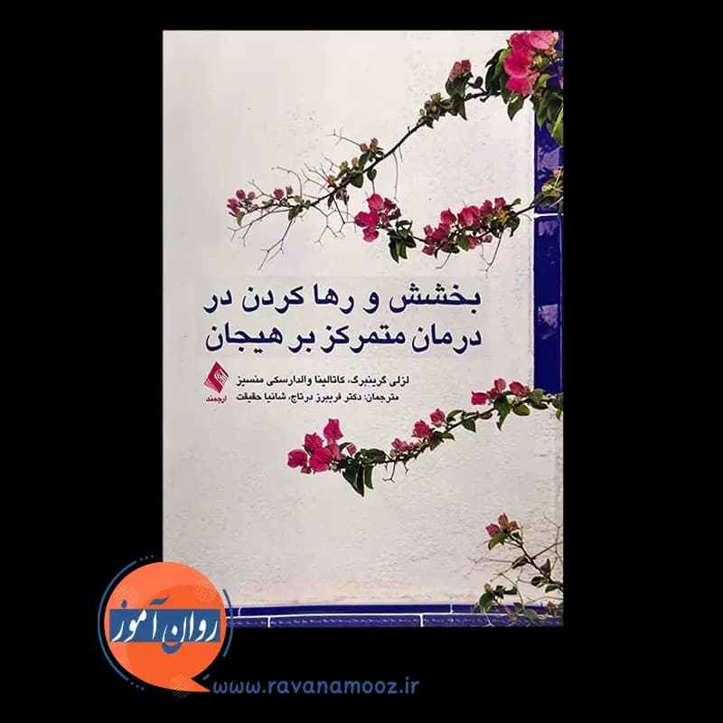 بخشش و رها کردن در درمان متمرکز بر هیجان – گرینبرگ — تصویر ۳