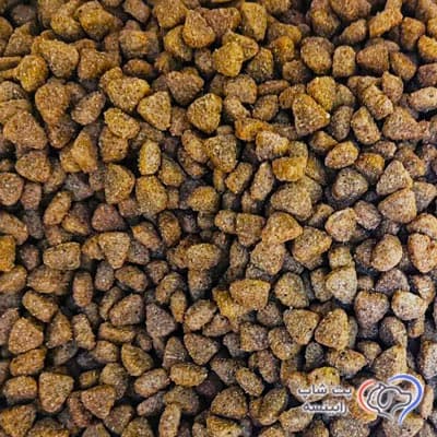 غذای خشک گربه جوسی جوسرا بالغ با طعم گوشت گوساله 10 کیلویی – اورجینال — تصویر ۳