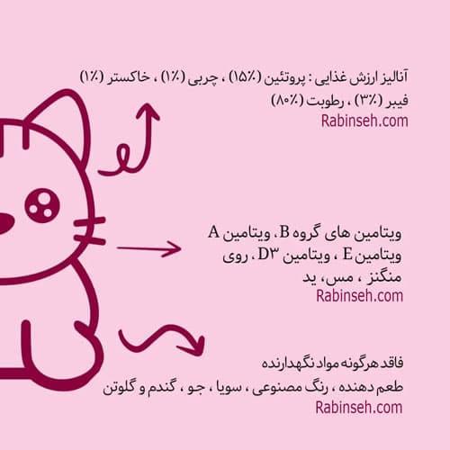 کنسرو بچه گربه کیتن نوول طعم مرغ و جگر 120 گرم — تصویر ۳