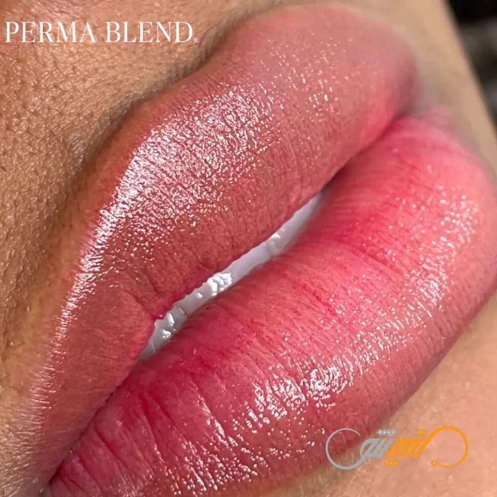 رنگ پرما بلند Perma Blend Raspberry — تصویر ۹