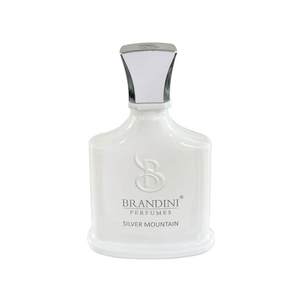 ادو پرفیوم برندینی مدل کرد silver mountain حجم 33mL — تصویر ۸