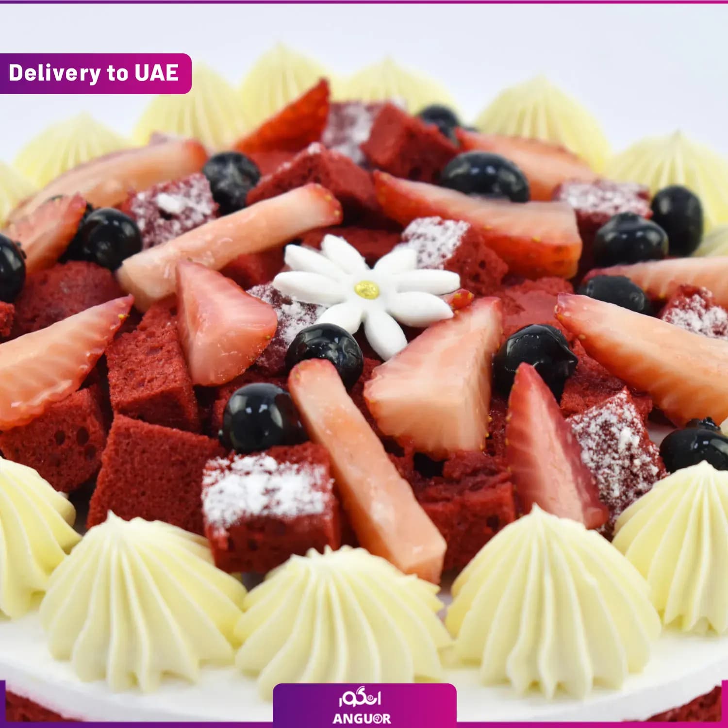 کیک میوه ای 8 نفره (ارسال به دبی و امارات) — تصویر ۵