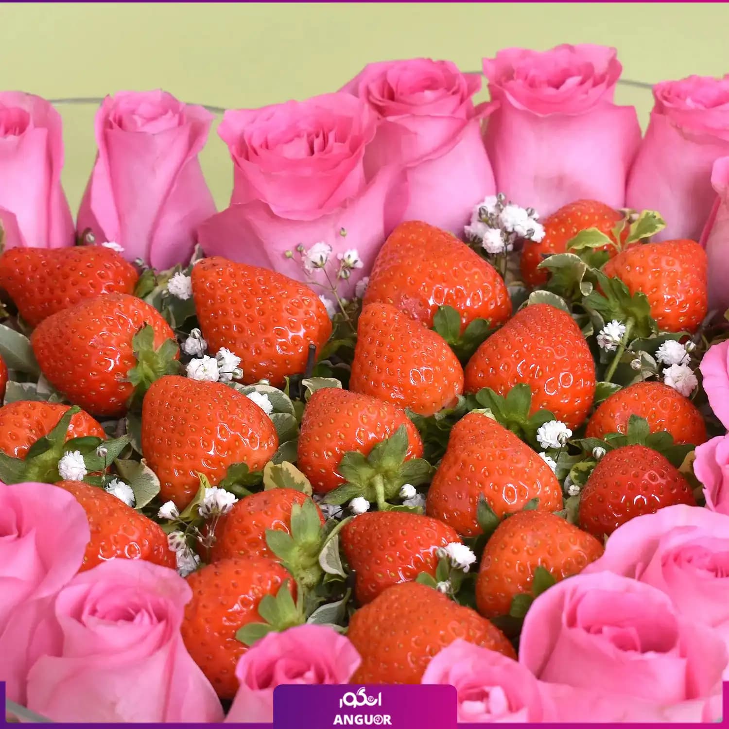 باکس شیشهای شکل قلب (رز و توت فرنگی) — تصویر ۴