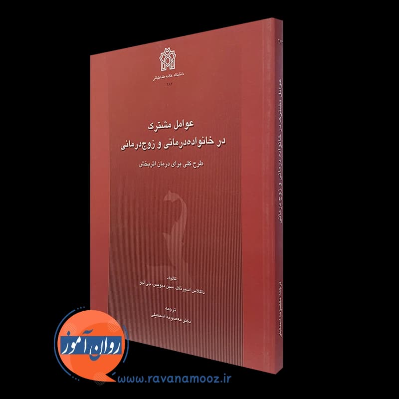 عوامل مشترک در خانواده درمانی و زوج درمانی — تصویر ۴