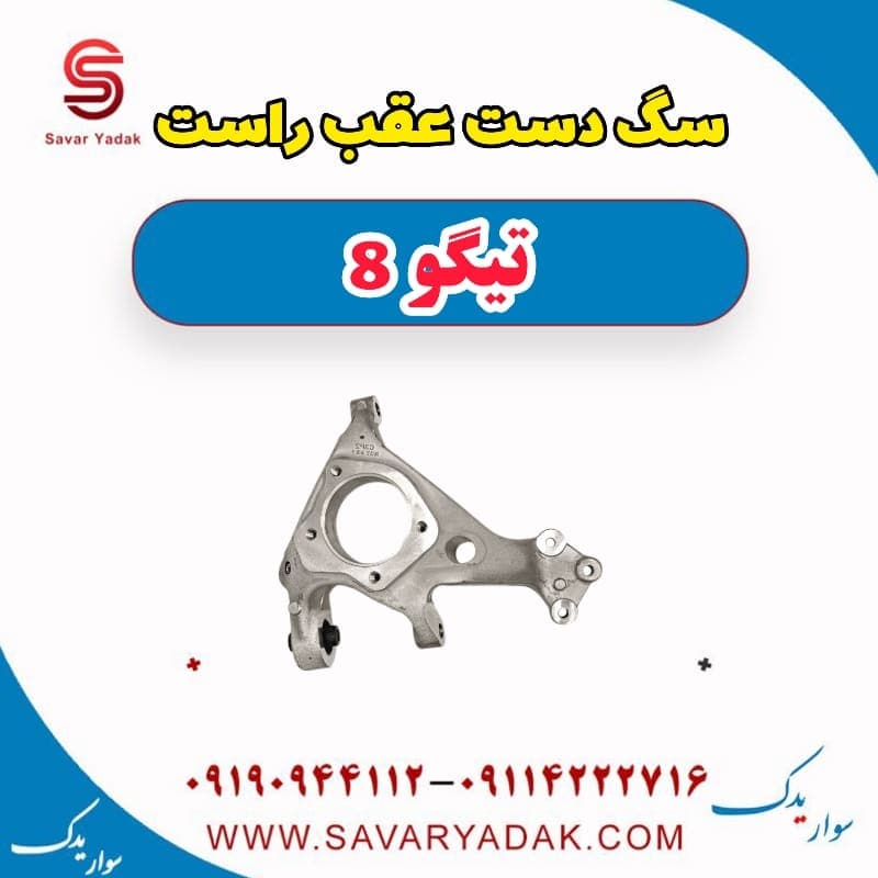 سگ دست عقب راست تیگو 8 — تصویر ۲