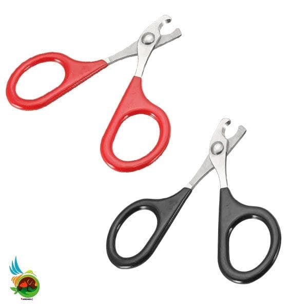 ناخن گیر سگ، گربه و جوندگان مدل قیچی سایز کوچک Pet beauty nail clippers — تصویر ۴