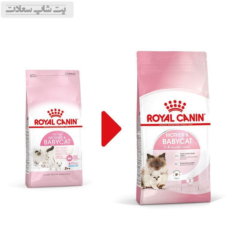 غذای خشک مادر و بچه گربه رویال کنین Royal Canin Mother & Babycat وزن 2 کیلوگرم — تصویر ۹