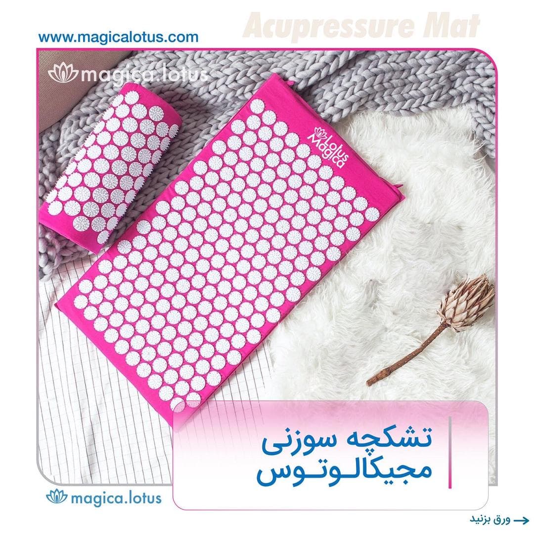 تشکچه سوزنی مجیکالوتوس – Magicalotus