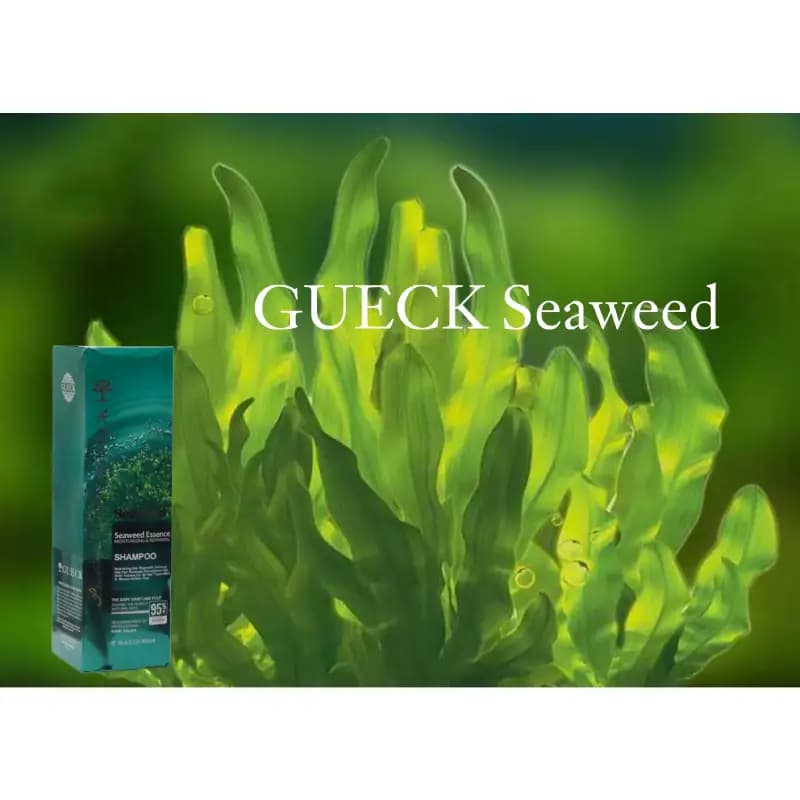 شامپو جلبک دریایی GUECK Seaweed حجم 900 میل — تصویر ۵