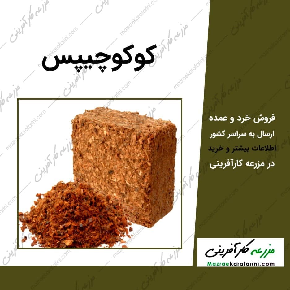 کوکوچیپس (5 کیلوگرمی) — تصویر ۲