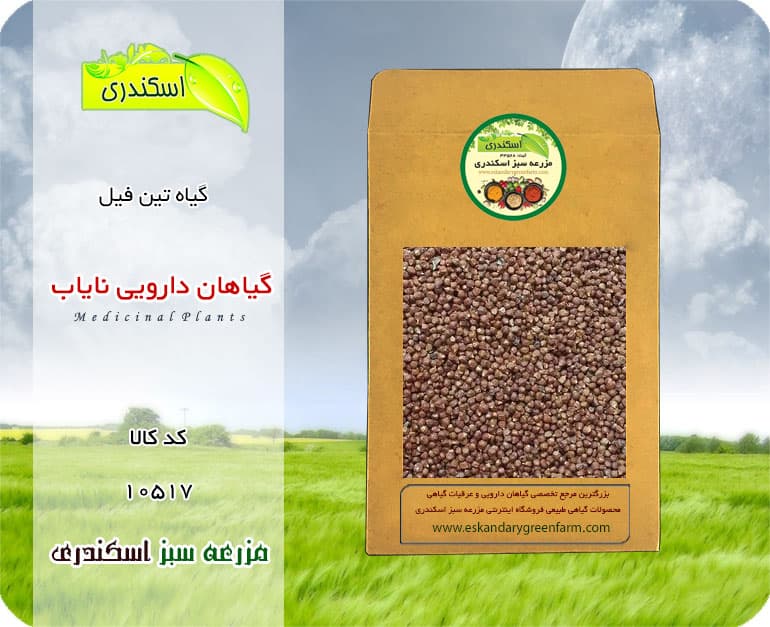 گیاه تین فیل نایاب | گیاه دارویی کمیاب — تصویر ۲
