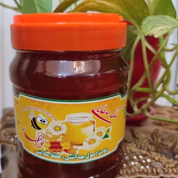 عسل کُنار ملکه صفایی یک کیلویی — تصویر ۶