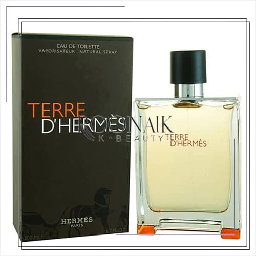 عطر ادکلن هرمس تق هرمس | Hermes Terre d’Hermes 100 ml — تصویر ۴